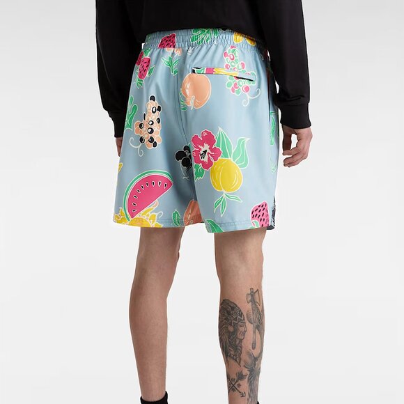 Vans Primary Print Elastic Boardshorts Blue Men's Size M - Picture 4 of 9